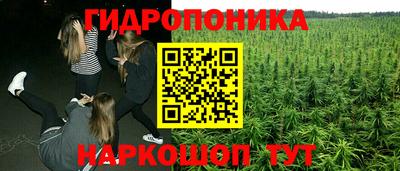 mdpv Партизанск